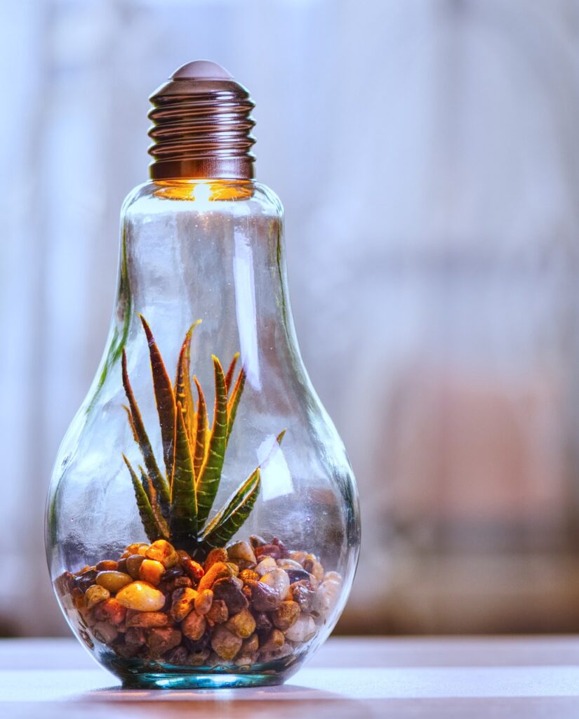 environmental protection, nature, lightbulb-4158658.jpg